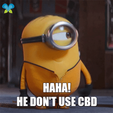 Laughing Out Loud Lol GIF by Imaginal Biotech