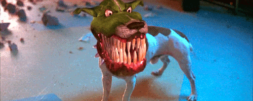 Dog-Mask GIFs - Find & Share on GIPHY