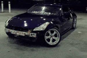 Tsz GIF