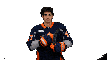 Hockey Nhl Sticker by Flint Firebirds