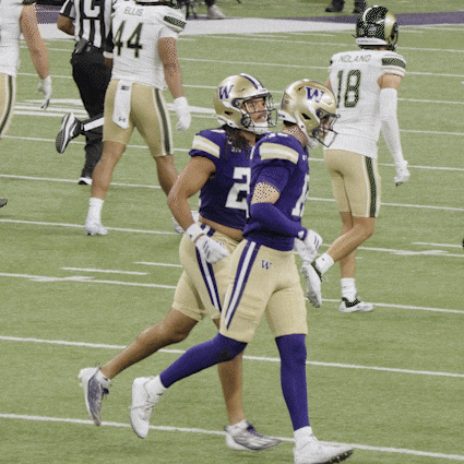 Bow Down University Of Washington GIF by Washington Athletics