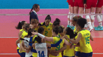 Celebration Win GIF by Volleyball World