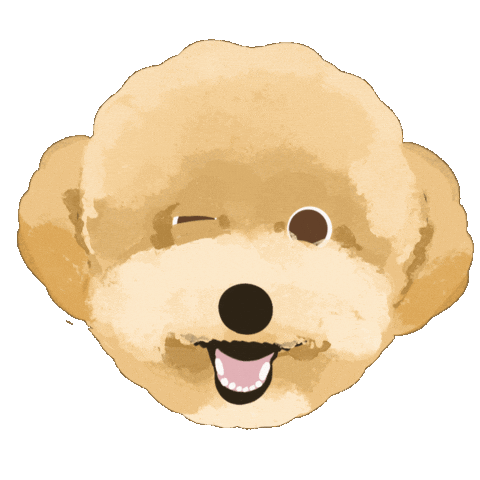 Poodle Sticker