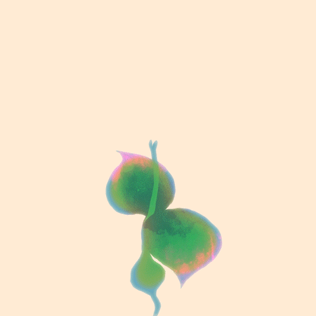 Animated gif of a plant growing leaves