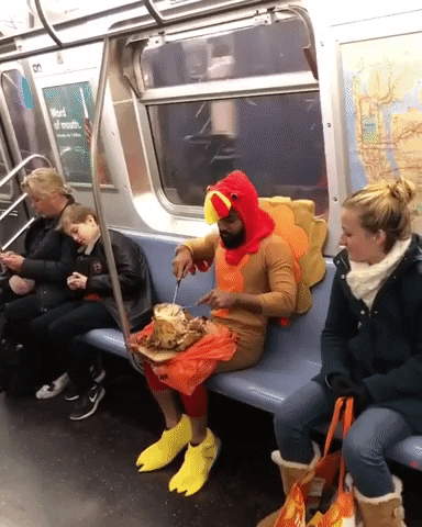 Thanksgiving Day GIF by Storyful