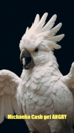 Michaelia Cash Pauline GIF