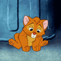 shake it cat GIF by Disney