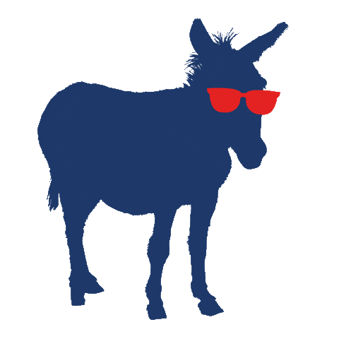 Donkey Eventfest Sticker by Event Concept