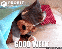 Happy Cat GIF by ProBit Global