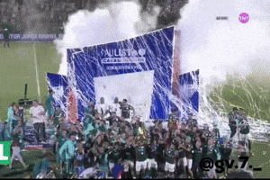 Deyverson Novorizontino GIF