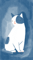 Cat Illustration GIF