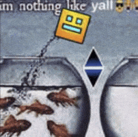 Rob Fish Tank GIF
