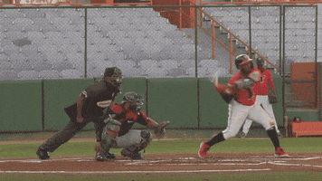 Toros Del Este Baseball GIF by Jomboy Media