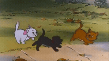Animation GIF