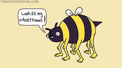 Are you the bees knees