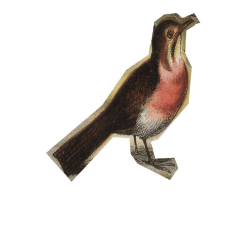 We Encourage Sticker