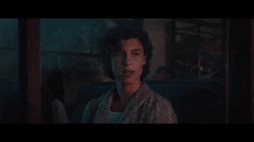 Shawn Mendes Wonder GIF by NOW That's Music