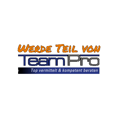 TeamProPersonaldienstleister Sticker
