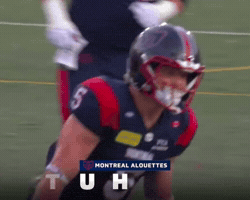 Celebration GIF