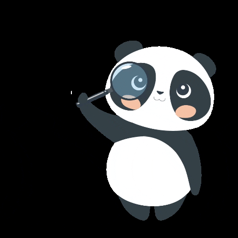 miapanda panda lupe miapanda GIF
