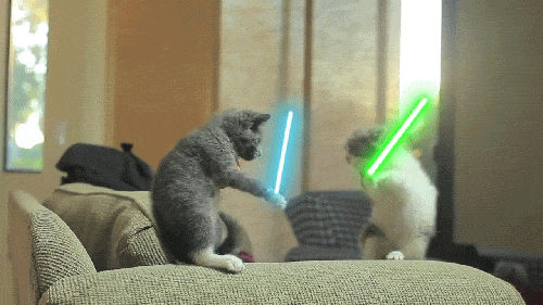 Star Wars Fighting GIF by Internet Cat Video Festival