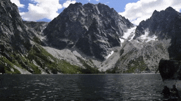 Ali4Lyfe GIF by Ali Hamza