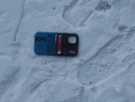 Skiingcreed GIF