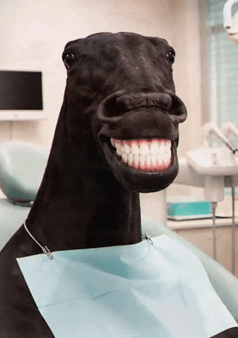 Horse Teeth GIF