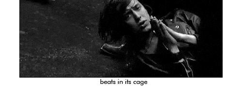 Heart In A Cage S Find And Share On Giphy