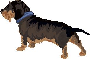 Dog Puppy Sticker by mgissinger