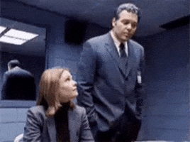 Law And Order GIF