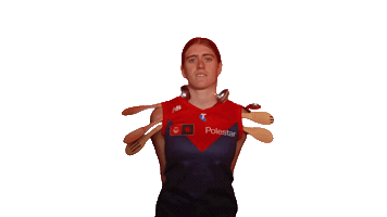 Melbourne Demons Afl Sticker by Melbournefc