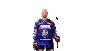 Hockey Hokej Sticker by Rytíři Kladno