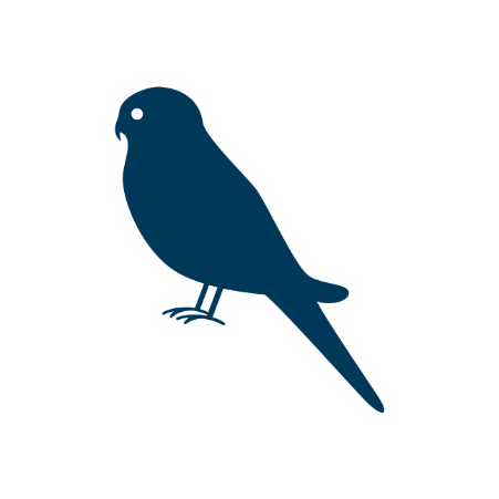 Bird Perruche Sticker by Fidele Beer