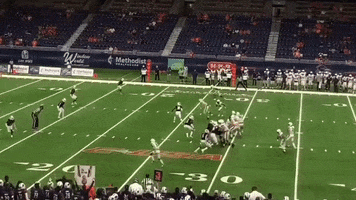 Tariq Wollen GIF