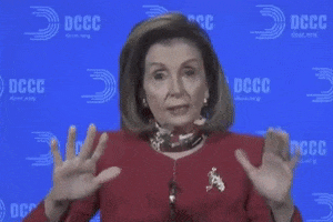 Be Patient Nancy Pelosi GIF by Election 2020