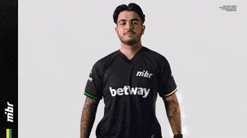 Lets Go GIF by MIBR