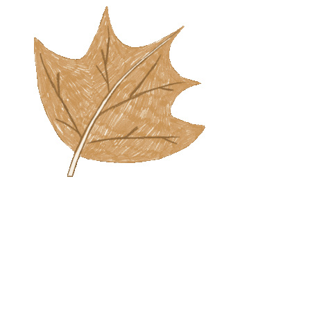 Autumn Leaves Fall Sticker