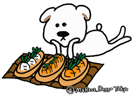 Comida Marest Sticker by marest.doggotokyo