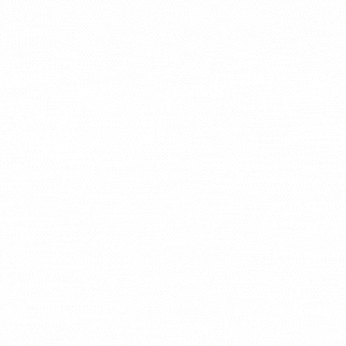 MundiviajaNuevaYork GIF