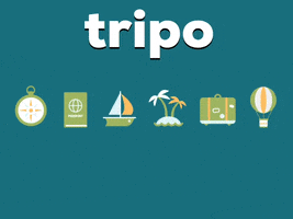 Tripotravel GIF by tripo
