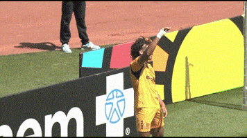 Rhode Island Fc GIF