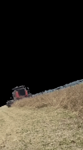 ZBiotec GIF