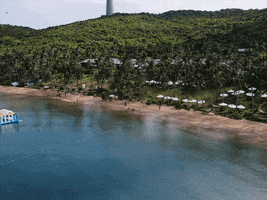 Vivuphuquoc GIF
