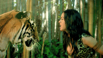 yell music video GIF by Katy Perry