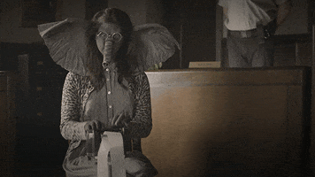 Glasses Elephant GIF by Capital Cities
