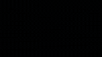 Diversa GIF by Grupo Arbo