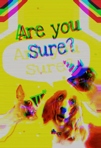 are you sure happy birthday GIF by Greetings Island