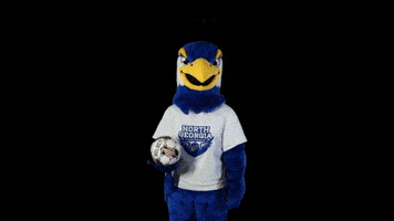 Nigel Nighthawks GIF by University of North Georgia