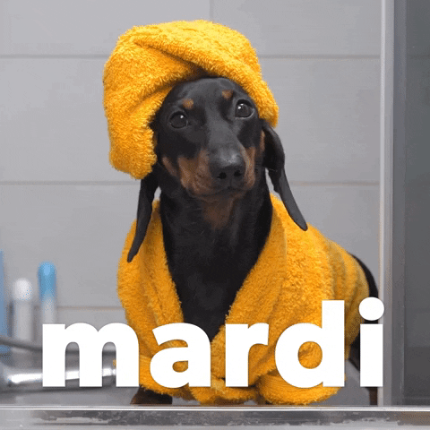 French Mardi GIF by Sealed With A GIF